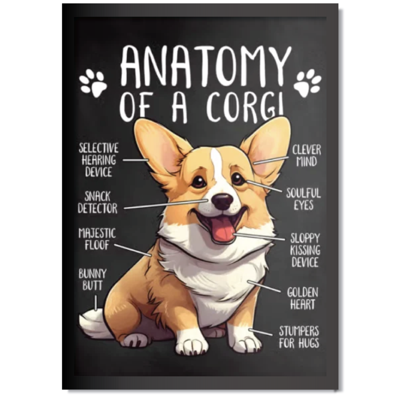 DDMK Anatomy Style Pet Portrait A004