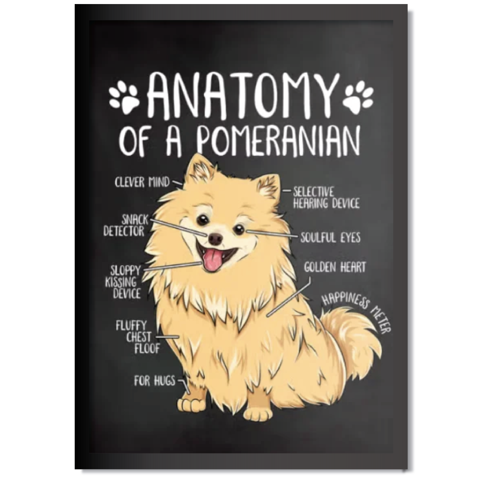 DDMK Anatomy Style Pet Portrait A007